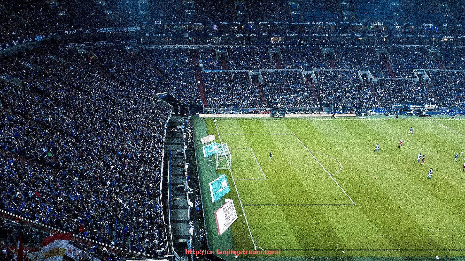 蓝鲸体育直播-2019年意甲降级球队名单及降级原因解析