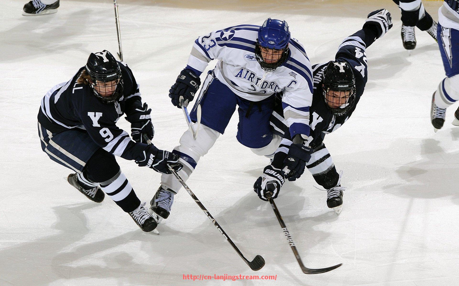 蓝鲸体育直播-意甲联赛bwin赞助球队详细介绍及品牌合作意义