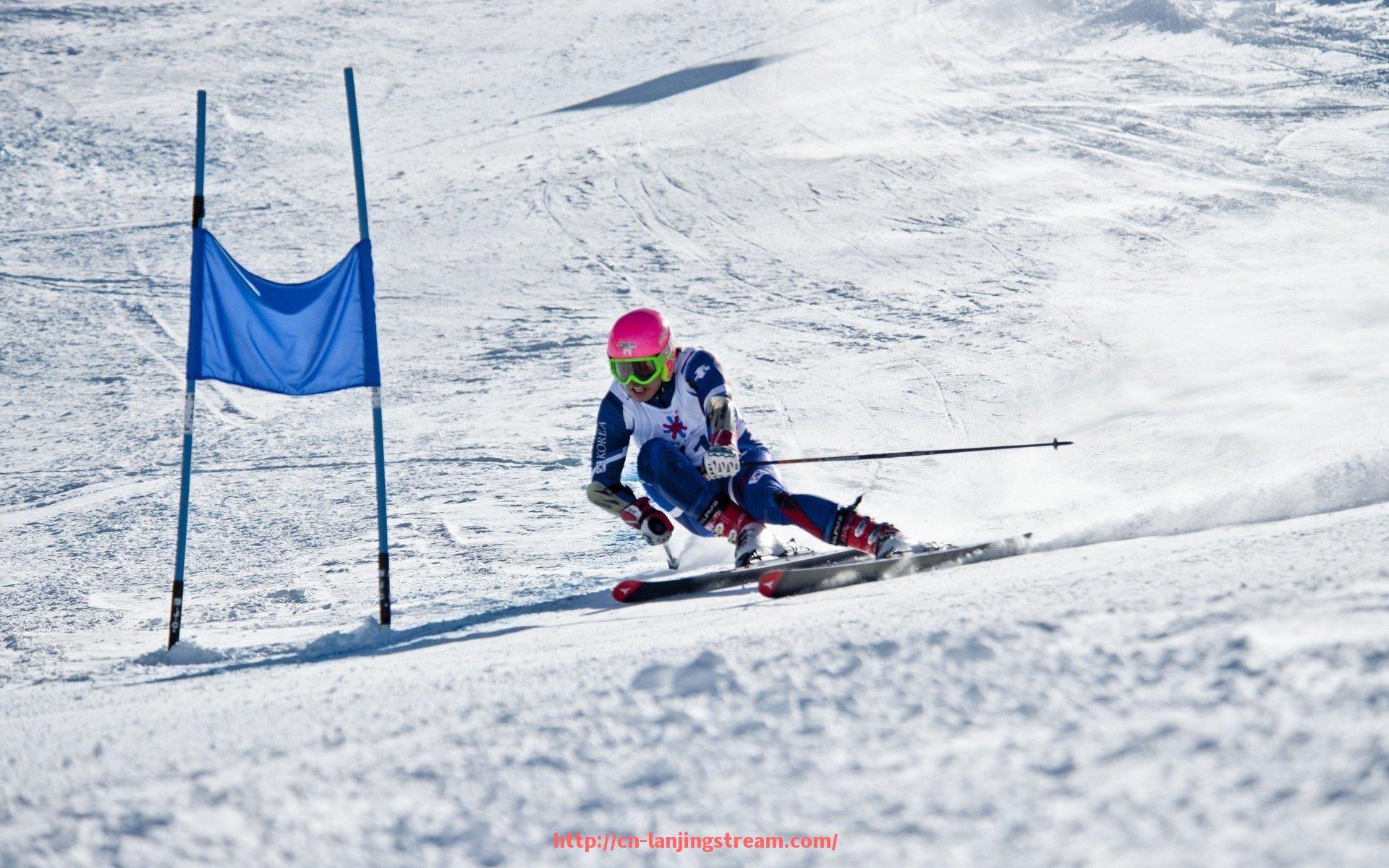 蓝鲸体育直播-猛龙队近年的表现和核心球员有哪些(猛龙队的球星)